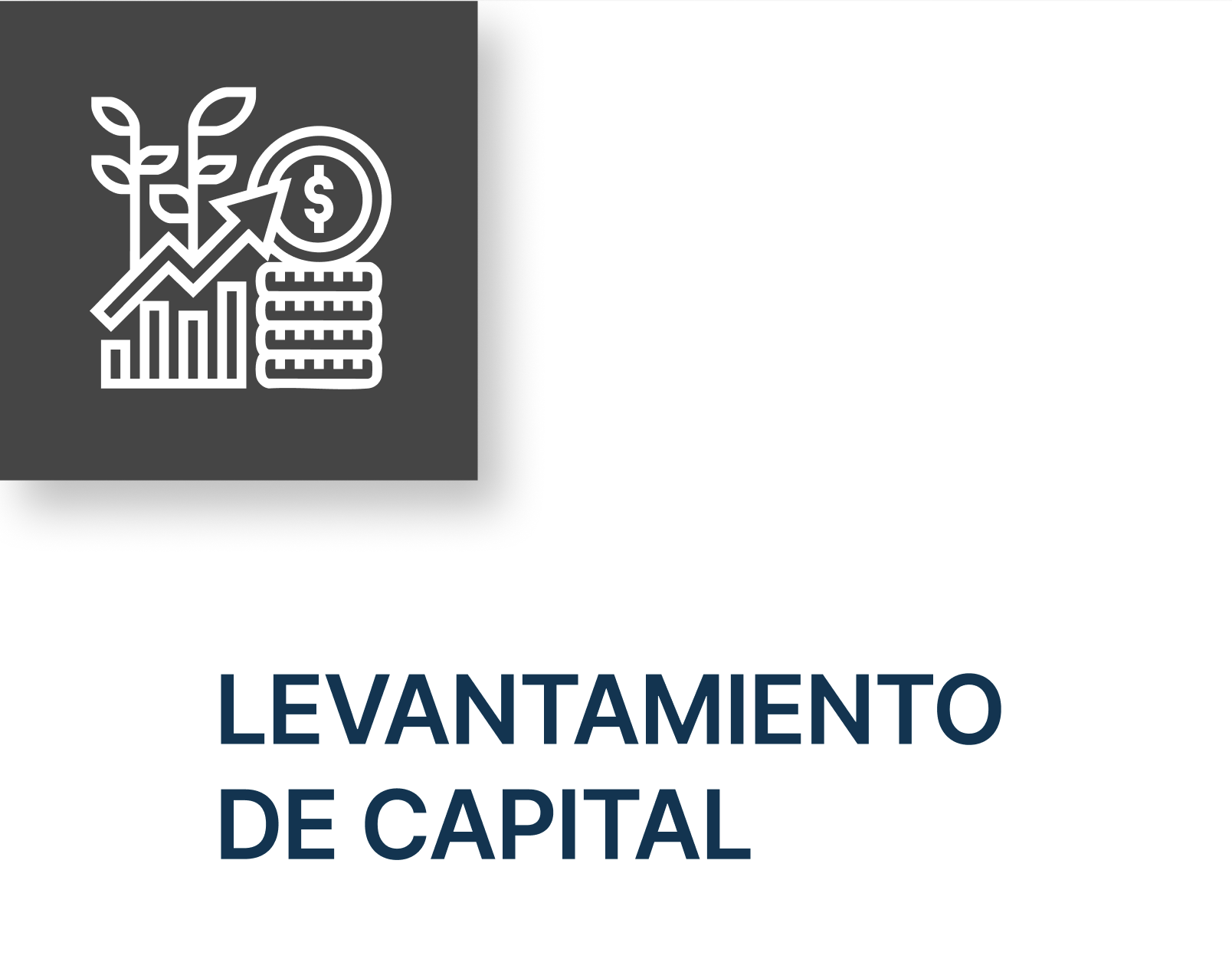 Banca de Inversión