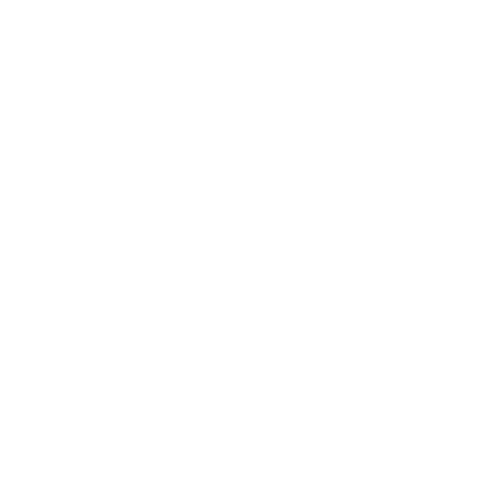 PROFESIONALISMO