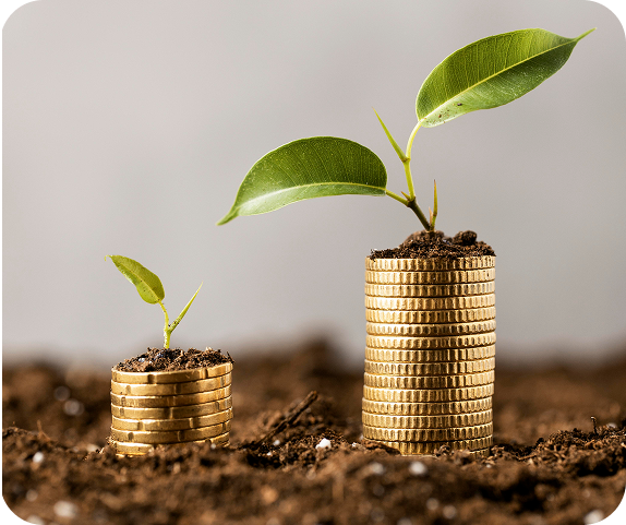 front-view-plants-with-coins-stacked-dirt-copy-space 1